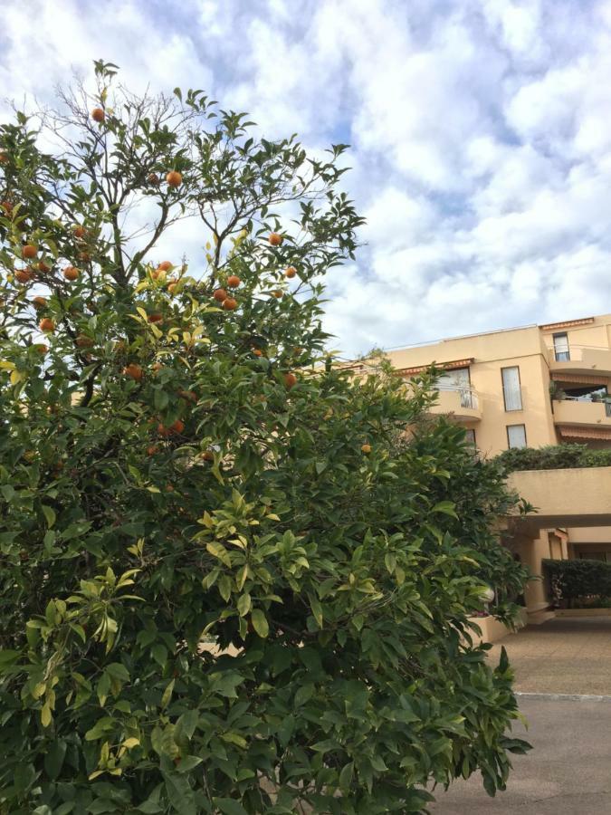 Les Orangers Apartment Saint-Raphael  Bagian luar foto